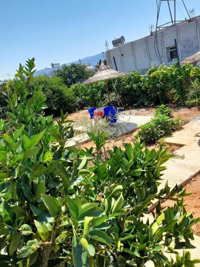 Rey Garden Villa Vlorë Eksteriør billede